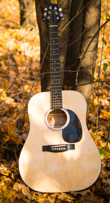 Buying an Acoustic Guitar